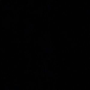 Meet your Posher, Victor